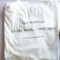 Equal Marriage Illinois Shirt(Needs Metadata)